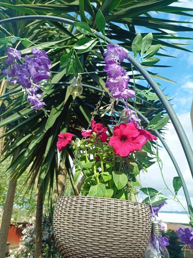 Pousada para 2 pessoas, com terraço em Braga