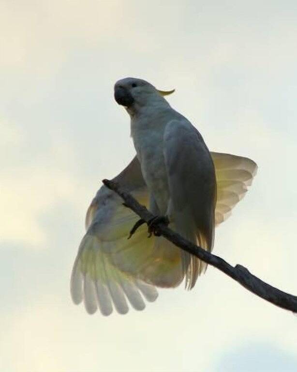 Ocean Serenity at its best in Skenes Creek, Colac Otway Shire