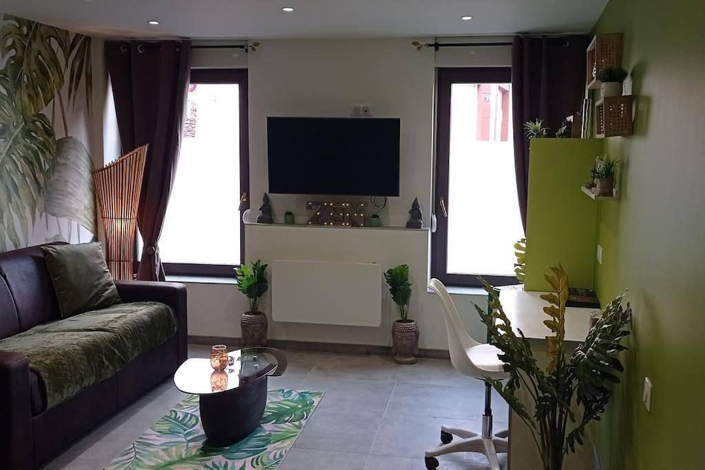 Appartement entier, One-Bedroom Apartment in Raon-l'Étape, Saint-Dié-des-Vosges