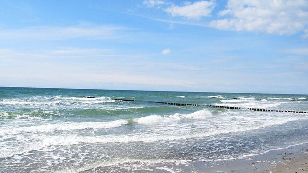 Ganze Ferienwohnung, Ferienwohnung für 3 Personen (39 m²) in Insel Hiddensee in Kloster, Hiddensee