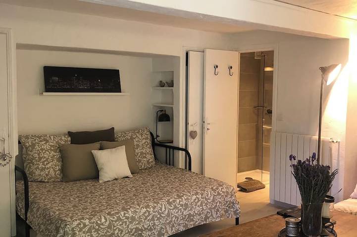 Gîte pour 4 personnes, avec jardin à Opio - 2