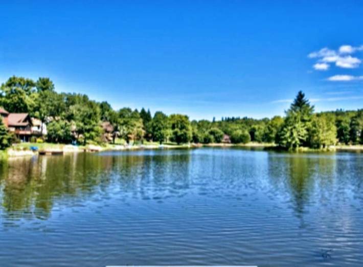 Vacation rental for 13 people, with pool and sauna as well as hot tub and terrace, with pets in Pennsylvania