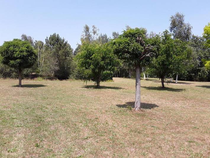 Location de vacances pour 3 personnes, avec jardin et piscine ainsi que terrasse et bassin pour enfant à Longué-Jumelles - 3