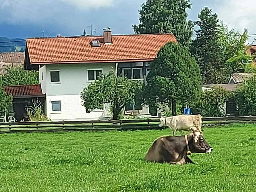 Monte Video, Wg Hubert, Eg in Burgberg im Allgäu, Bayerisch Schwaben