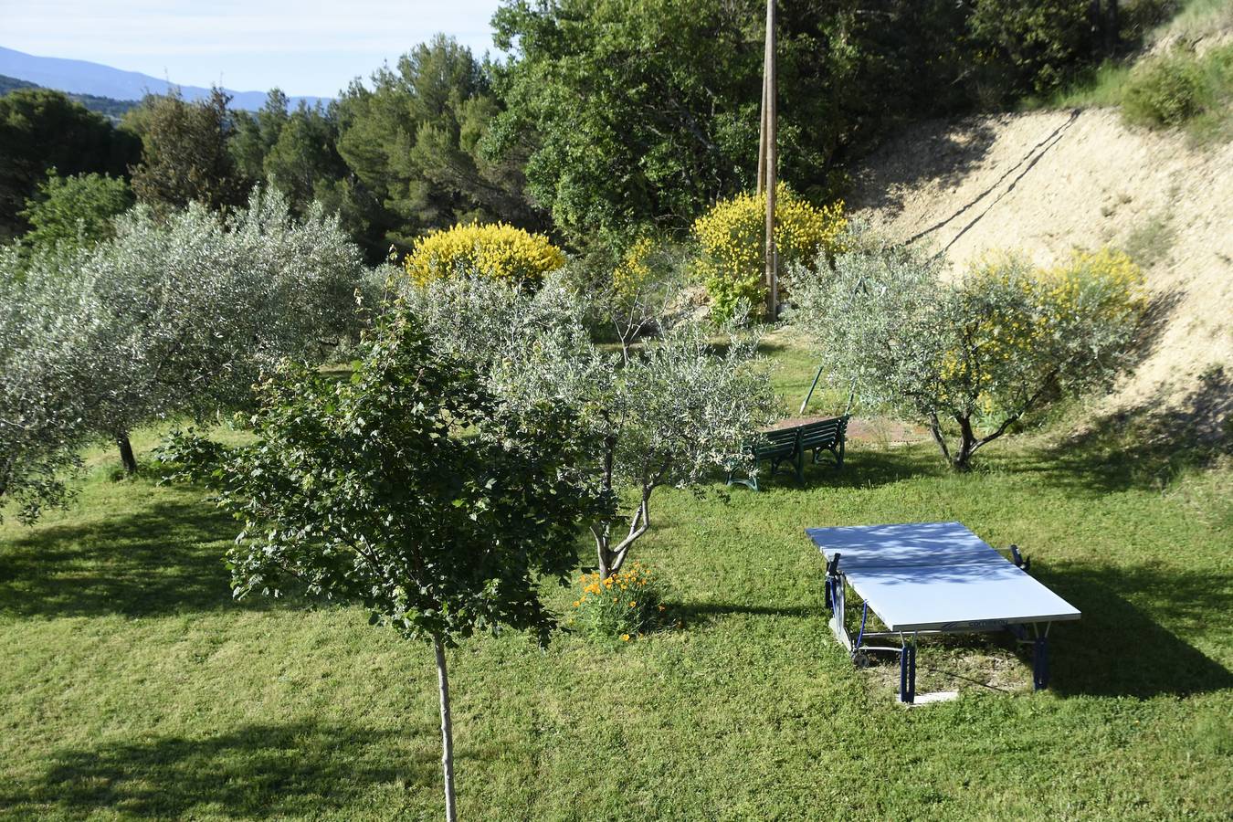 Apartamento entero, Apartamento "Gîte Des Lavandes" con vistas a la montaña y Wi-Fi in Nyons, Región de Nyons
