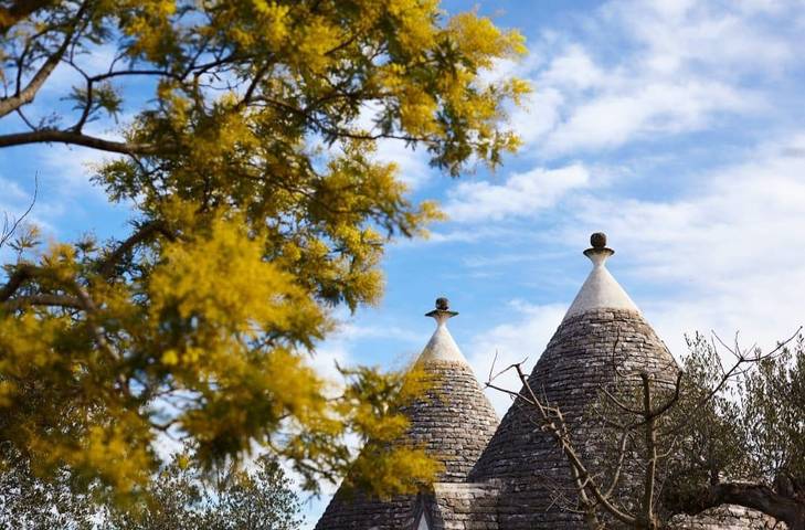 Trullo Dei Fiori - Cisternino in Cisternino, Salento