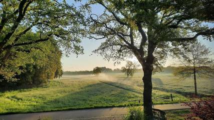 Ferienwohnung für 4 Personen, mit Terrasse in Westerstede