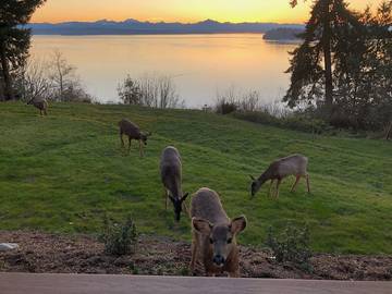 Bnb für 2 Personen in Whidbey Island, Washington, Bild 2