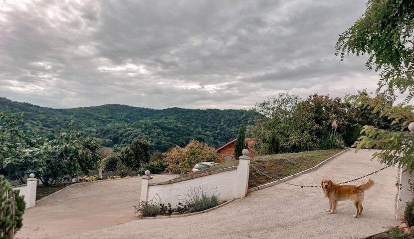Gîte pour 4 personnes, avec jardin et piscine à Novi Sad - 2
