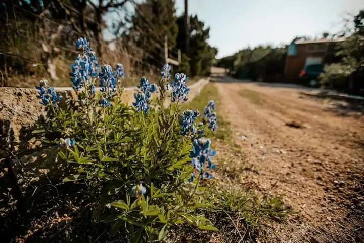 Camping for 4 people in Texas Hill Country
