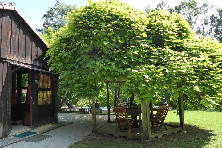 Chalet pour 6 personnes, avec sauna et jardin dans Dolomites - 3