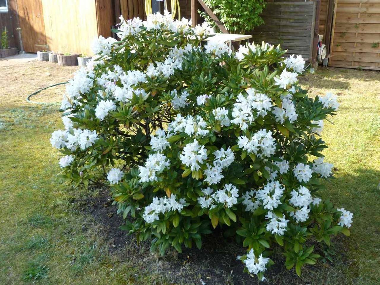 Ganze Ferienwohnung, Wohnwagen mit großem Vorzelt - Wohnwagen mit großem Vorzelt in Fleeth, Mirow