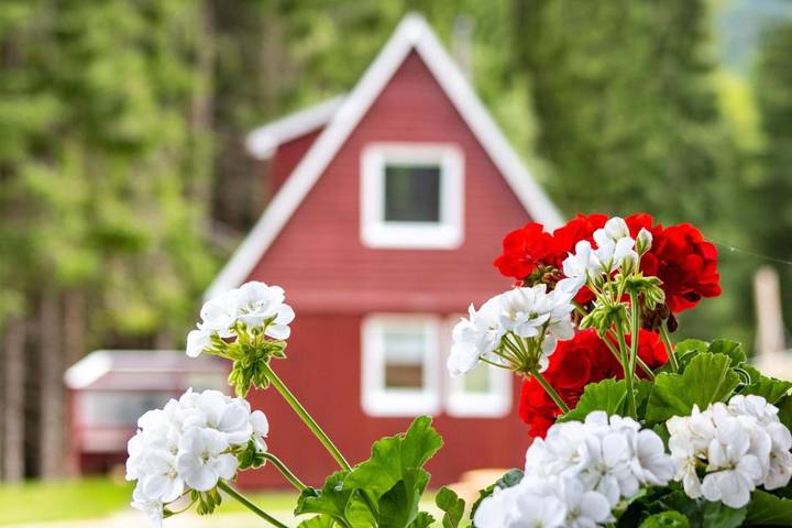 Ferienhaus für 6 Personen, mit Balkon und Terrasse sowie Garten und Pool in Breitenbrunn / Erzgebirge - 4