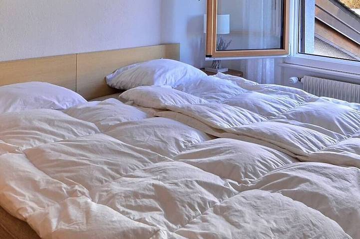 Appartamento intero, Appartement confortable pour 6 personnes, salon avec poêle, coin cuisine avec lave-vaisselle, 3 cham in Grimentz, Anniviers