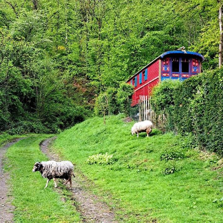 Maison d’hôte pour 2 personnes, avec Terrasse ainsi que Jardin et Vue à Yvoir
