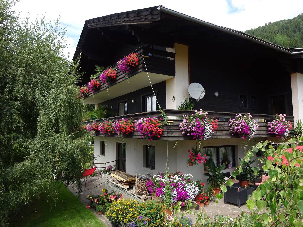 Ganze Wohnung, Phlox in Millstatt in Millstatt, Bezirk Spittal an der Drau