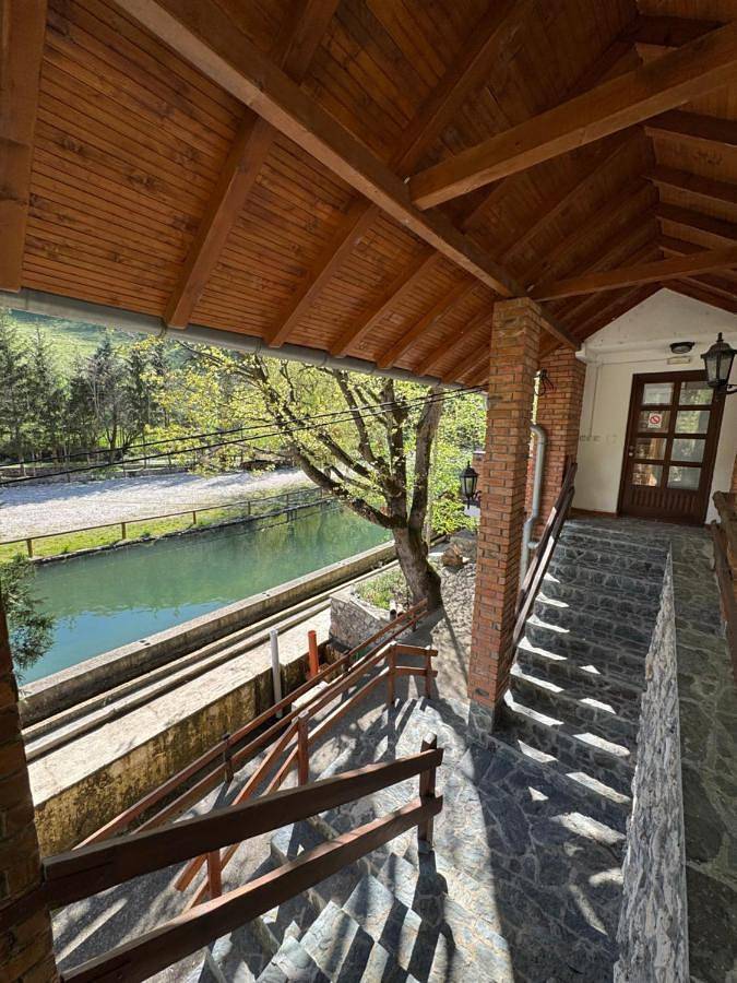 Gîte pour 3 personnes, avec vue, animaux acceptés à Despotovac - 4