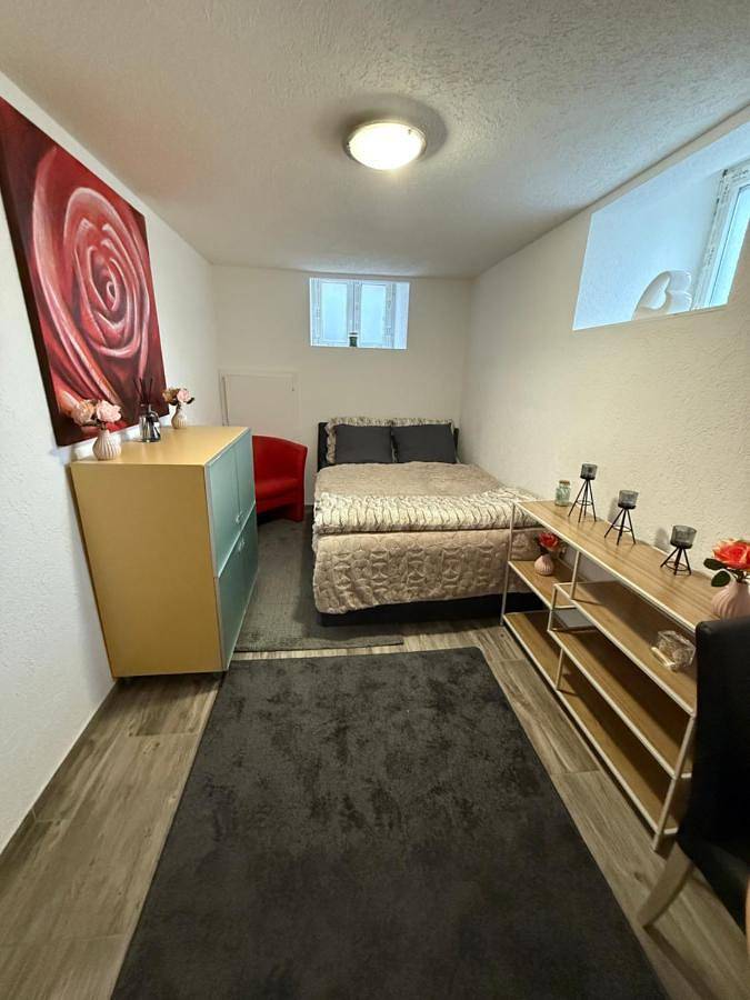 Gîte pour 2 personnes, animaux acceptés à Huningue - 4