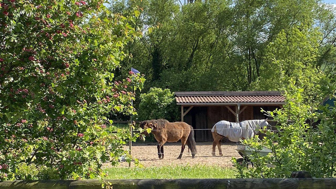 Ganze Ferienwohnung, Ferienwohnung für 2 Personen (60 m²) in Heeßen in Heeßen, Landkreis Schaumburg