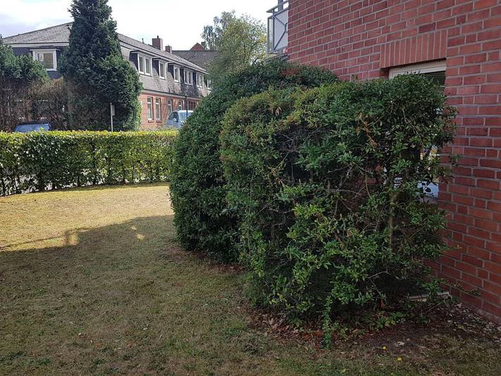 Ferienwohnung für 4 Personen, mit Terrasse in Leer - 4
