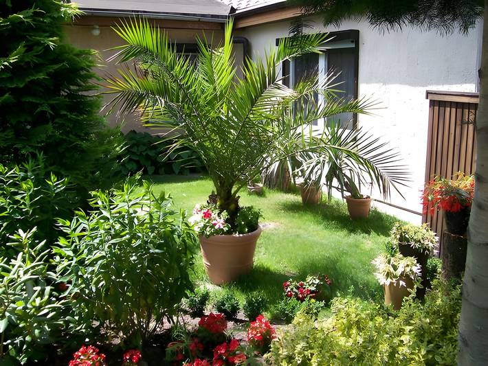 Ferienhaus für 6 Personen, mit Garten in Wandlitz - 2