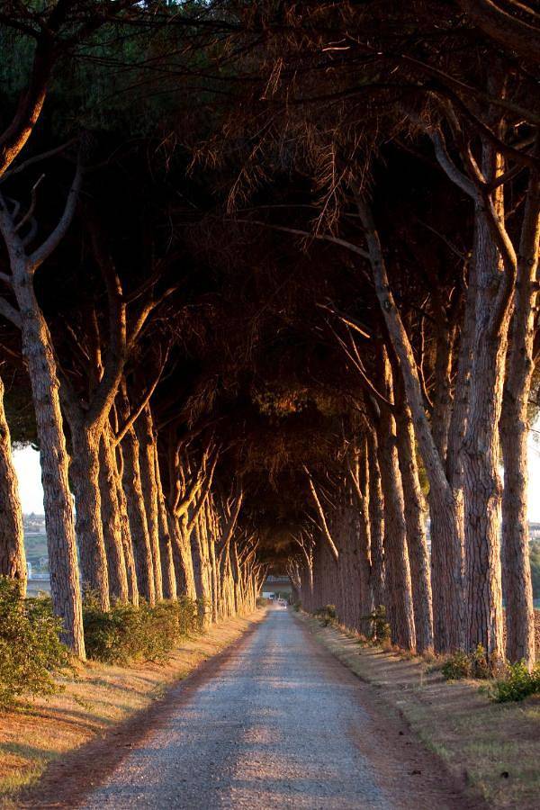 Appartamento intero, Agriturismo Pantano Borghese in Borghesiana, Roma