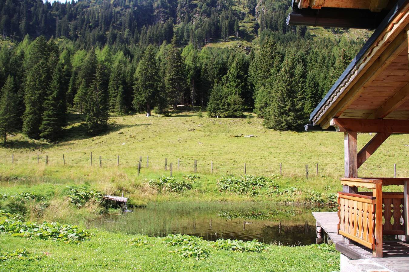 Ganze Ferienwohnung, Almliesl Soek-713 in St. Nikolai im Sölktal, Tauern