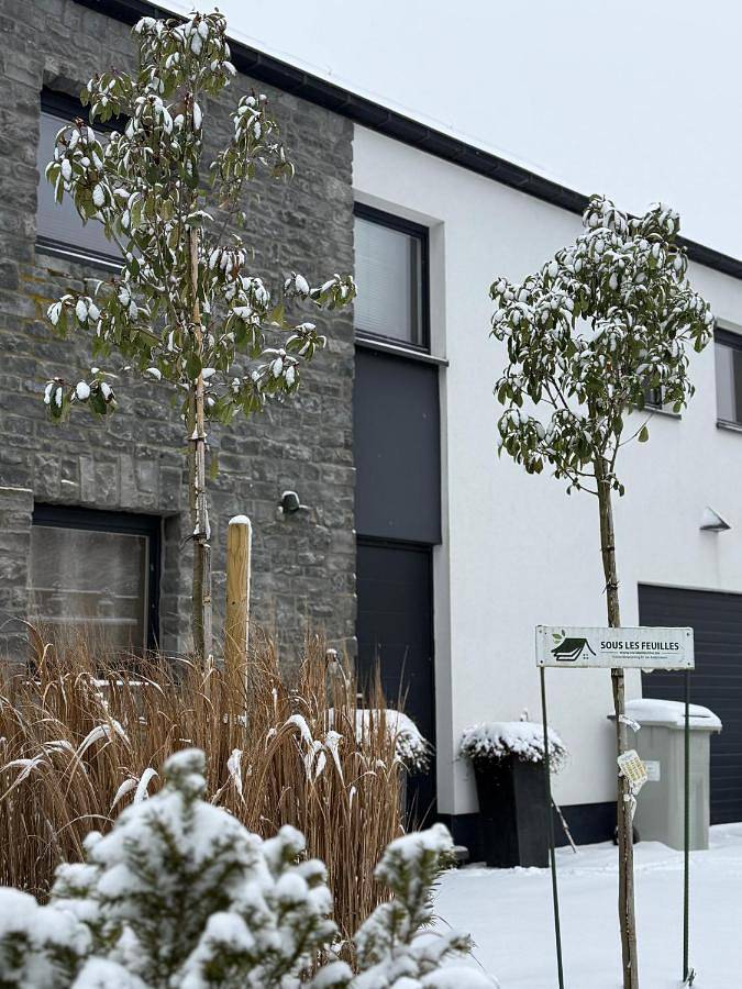 Location de vacances pour 7 personnes, avec terrasse ainsi que sauna et jardin, animaux acceptés dans Redu - 3