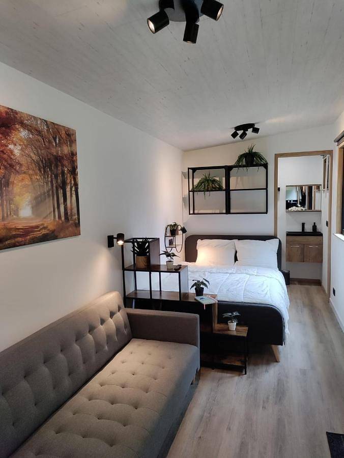 Location de vacances pour 4 personnes, avec jardin ainsi que terrasse et vue à Turnhout - 2