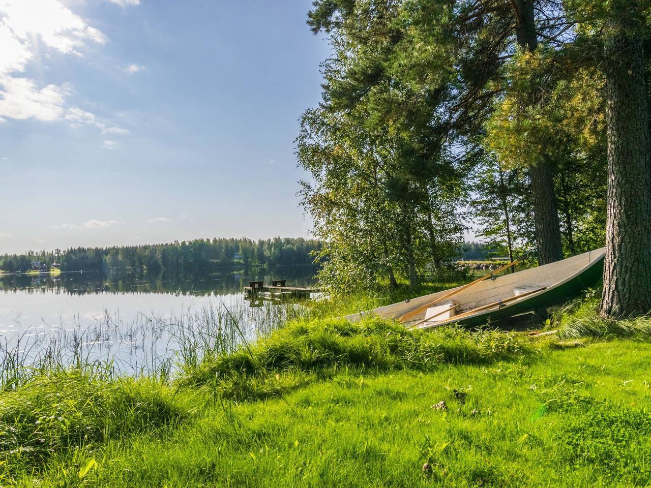 Saniainen 5 in Säviä, Nord-Savo