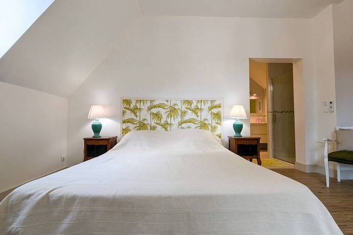 Gîte pour 8 personnes, avec jardin à Vicq-sur-Nahon - 3