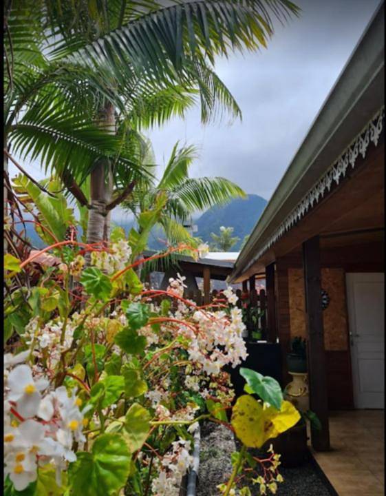 Location de vacances pour 6 personnes, avec jardin et jacuzzi dans Les Makes - 4