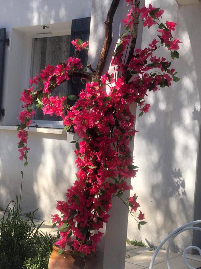 Location de vacances pour 5 personnes, avec piscine ainsi que vue et jardin à Camps-la-Source - 4
