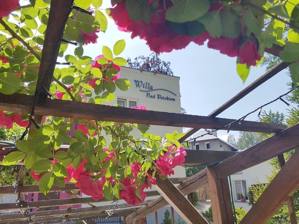 Willa Nad Potokiem in Kudowa-Zdrój, Sudety (Polska)