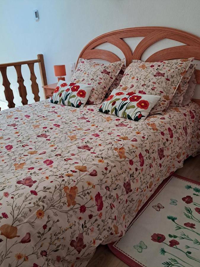 Gîte pour 4 personnes, avec vue et jardin à Mirepoix - 3