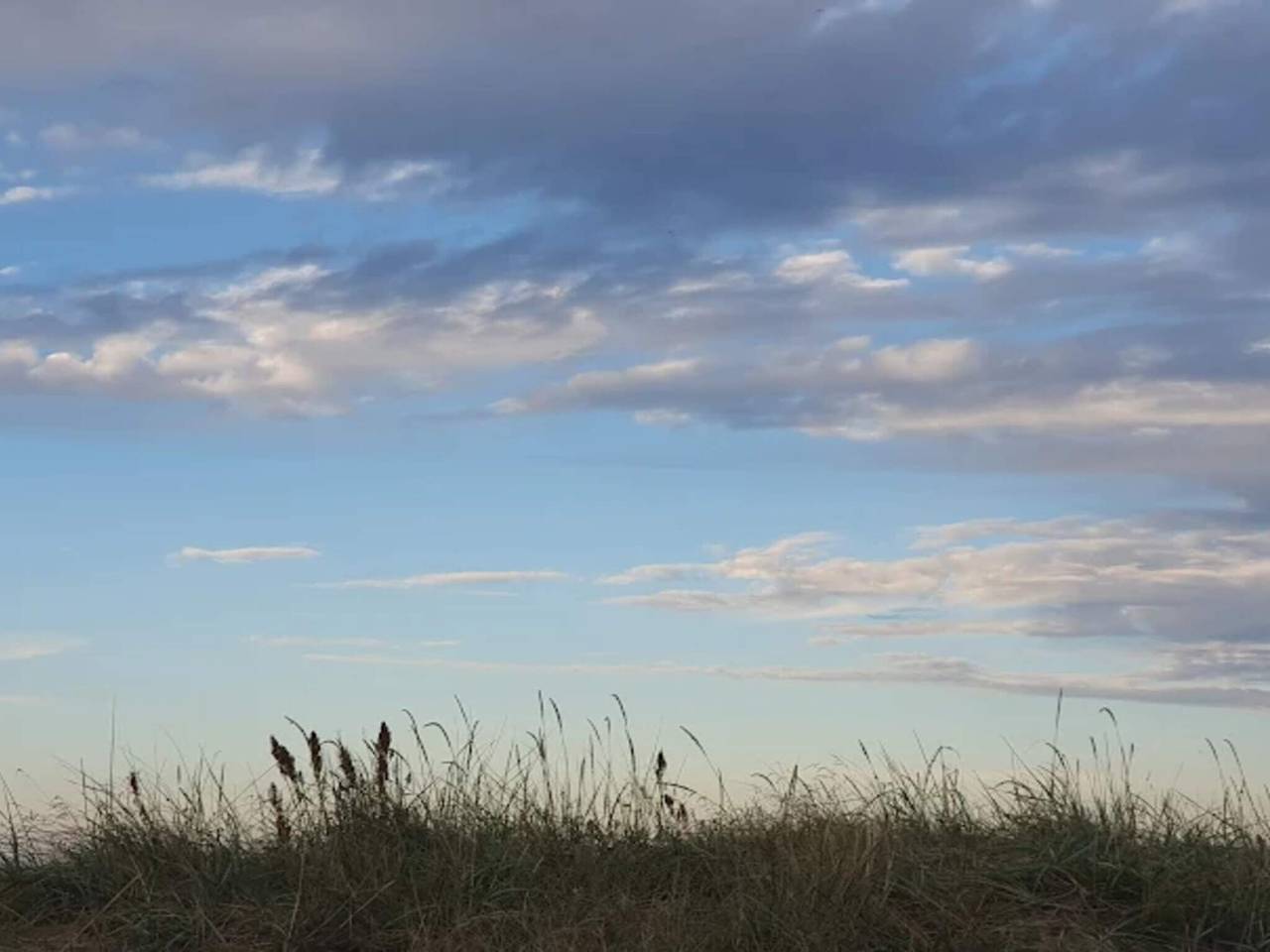 Kustliche Ruhe am Knasborg Strand-By Traum in Napstjert, Ålbæk