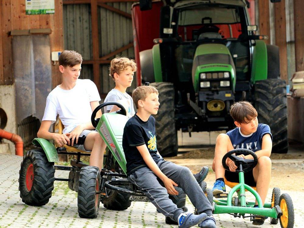 Ederhof - Hofblick in Schöllnach, Vorderer Bayerischer Wald