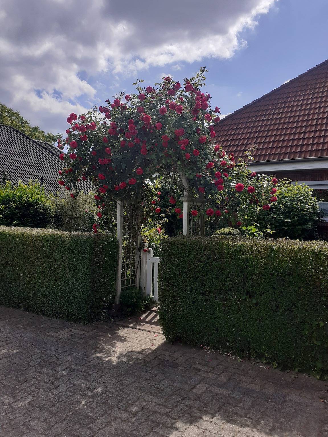 Ganze Ferienwohnung, Martens in Groß Wittensee, Rendsburg-Eckernförde