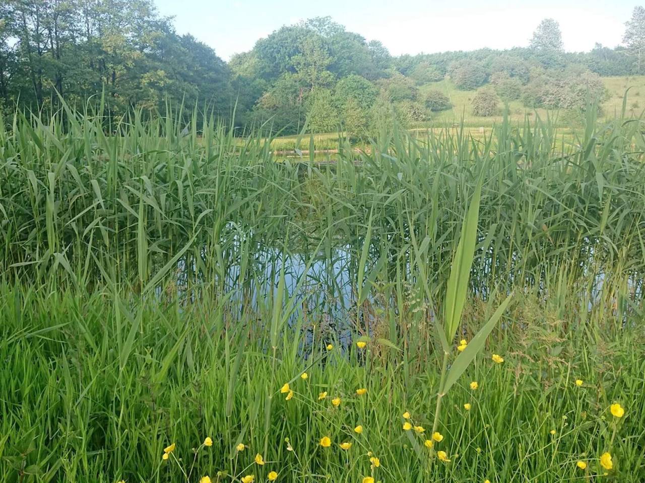 Luxus-Refugium von Asbolholm in Lunderskov, Kolding und Umgebung