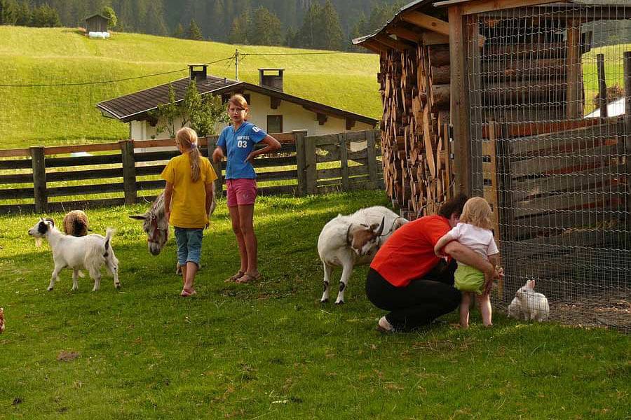 Bauernhof Gruber - Doppel - bzw. Dreibettzimmer Samalm mit Balkon in Gailtaler Alpen, Lesachtal