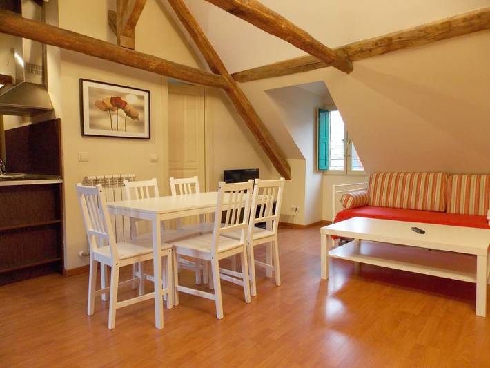 Apartamento de vacaciones para 4 personas, con vistas y balcón en Valle de Tena - 4