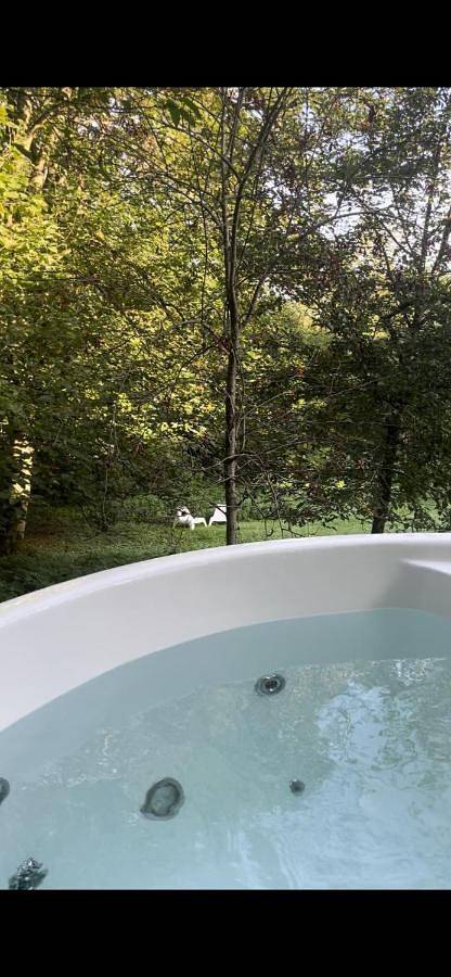 Gîte pour 2 personnes, avec Jacuzzi et Terrasse ainsi que Jardin et Piscine à Ellezelles