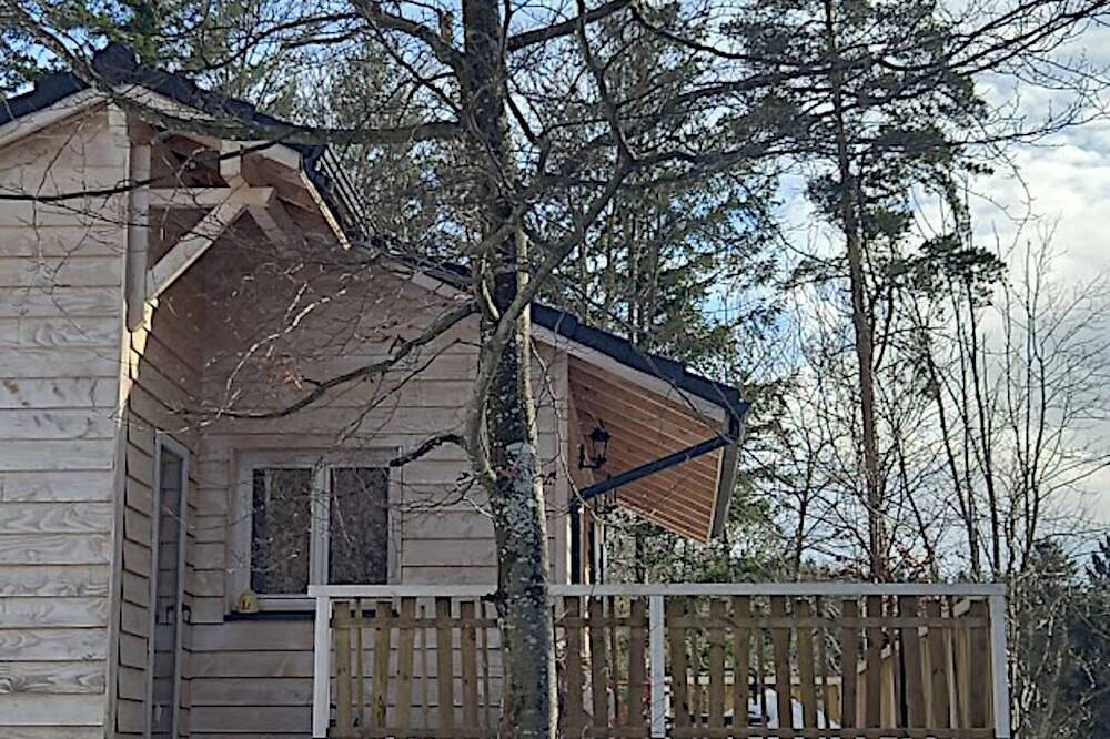 Cosy self-catering cottage, near the center of Le Chambon-sur-Lignon, on the edge of a forest in Le Chambon-sur-Lignon, Massif Central