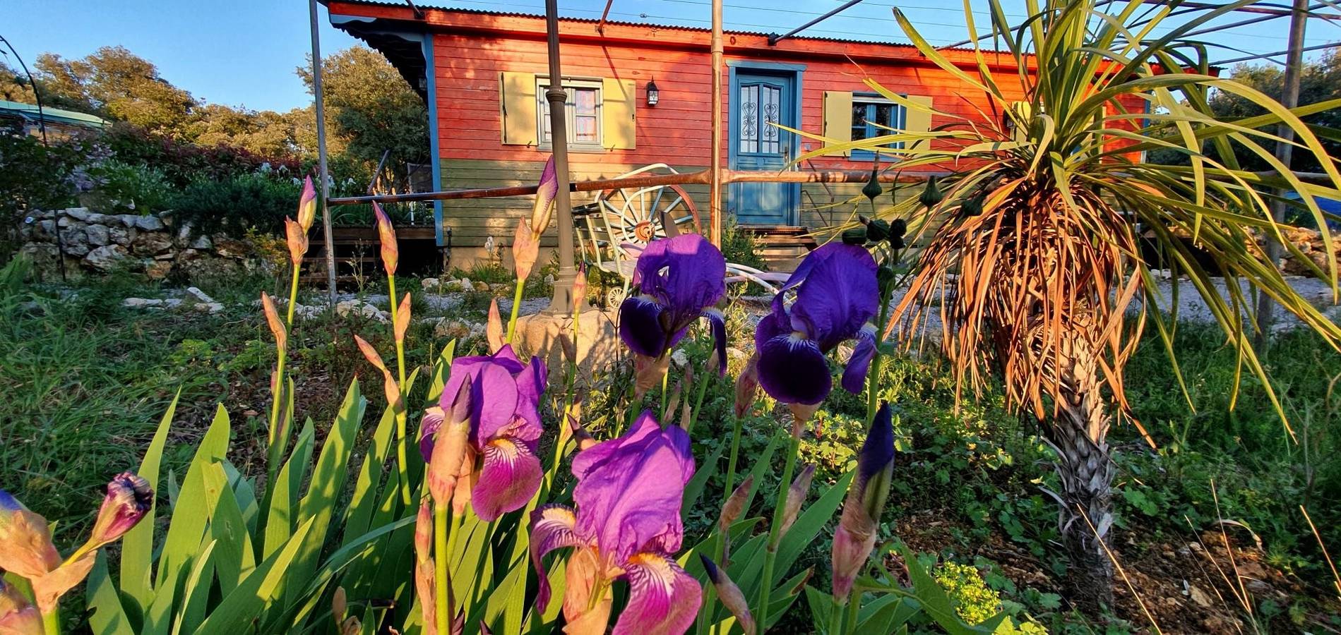 Encanto y confort en la naturaleza, toque bohemio con piscina y vistas espectaculares in Aniane, Región de Lodève