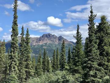 Vacation House for 10 Guests in Denali, Alaska, Picture 3