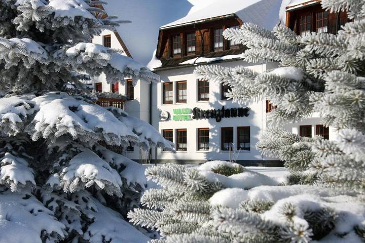 Hotel für 3 Personen, mit Terrasse und Garten sowie Sauna in Sayda