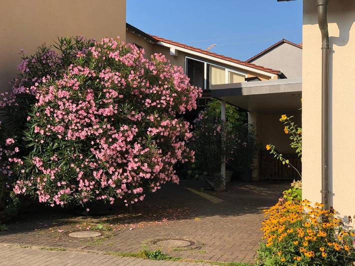 Ferienwohnung für 7 Personen, mit Terrasse in Gau-Algesheim