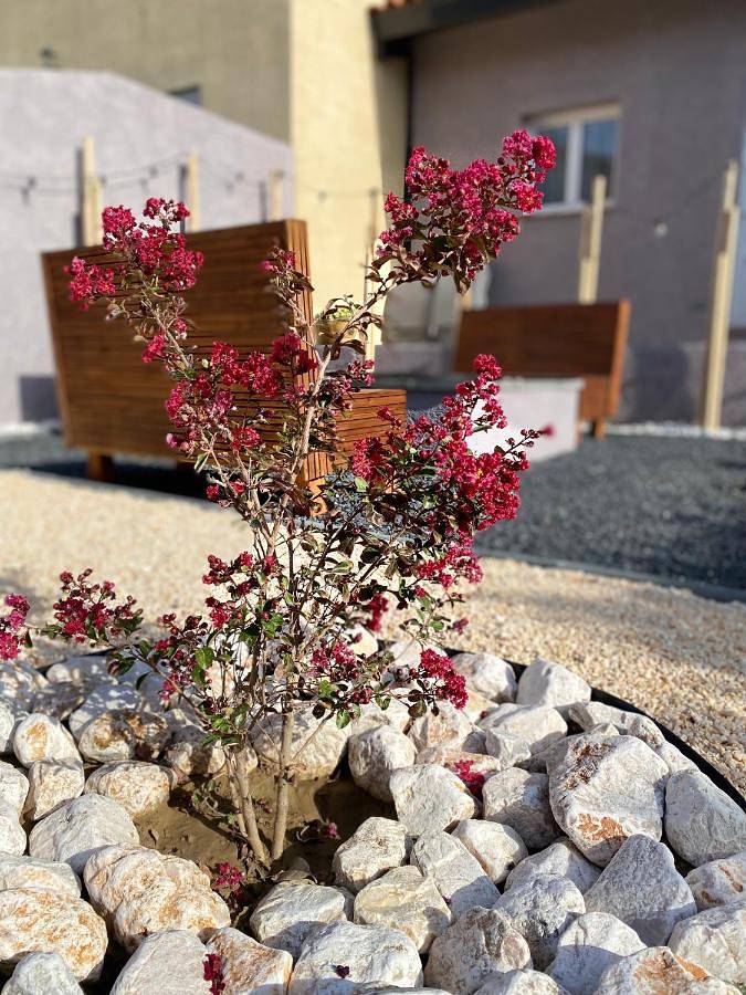 Location de vacances pour 6 personnes, avec jardin à Villelongue-de-la-Salanque - 3