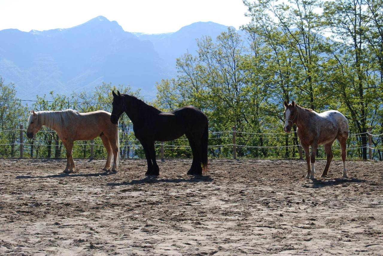 Appartamento intero, Agriturismo Spa Serpanera in Sarnano, Parco nazionale dei Monti Sibillini