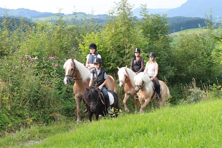 Ferienwohnung für 4 Personen, mit Balkon und Garten in den Allgäuer Alpen - 3